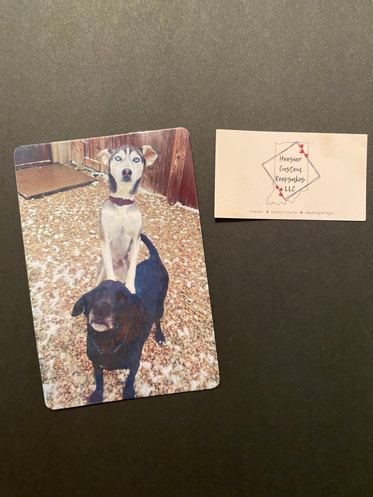 Magnets 4x6